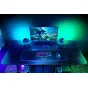 Razer speakers Nommo V2, black