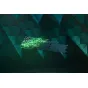 Razer keyboard Huntsman V2 Tenkeyless Red Switch NO