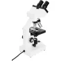 Celestron Labs CB1000CF mikroskops ar binokulāro galvu, diviem objektīviem, mehānisko skatu un regulējamu LED apgaismojumu uz tīra balta fona.