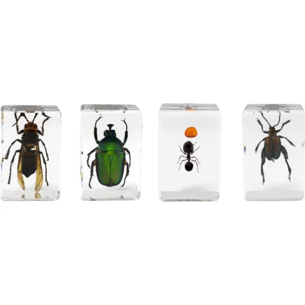 Microscope Sample 3D Bug Kit 5