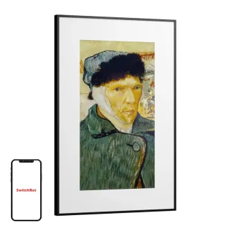 SwitchBot AI Art Frame 31.5\" Digital Photo Frame