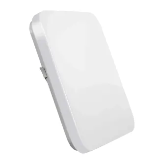 Lepro 150006 Ceiling Light, 24W, 2400 lm