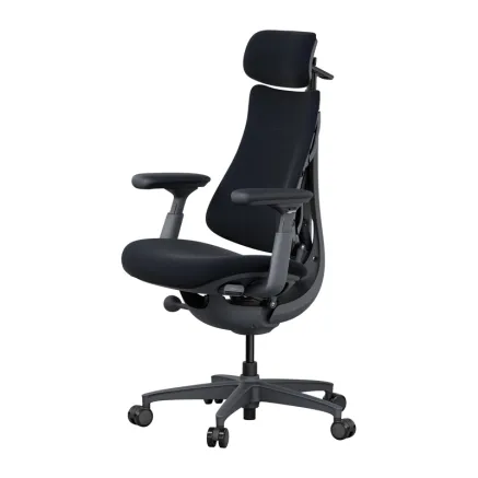 LiberNovo Omni 45 cm Ergonomiskais krēsls (Melns)