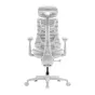 LiberNovo Omni GEN 48 cm Ergonomic Chair (White)
