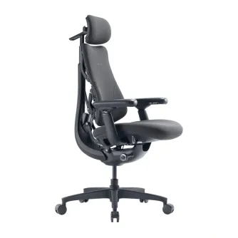 LiberNovo Omni GEN 48 cm Ergonomic Chair (Graphite)