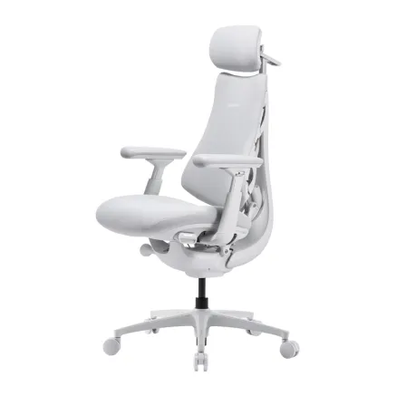 LiberNovo Omni Pro 45 cm Ergonomic Chair (White)
