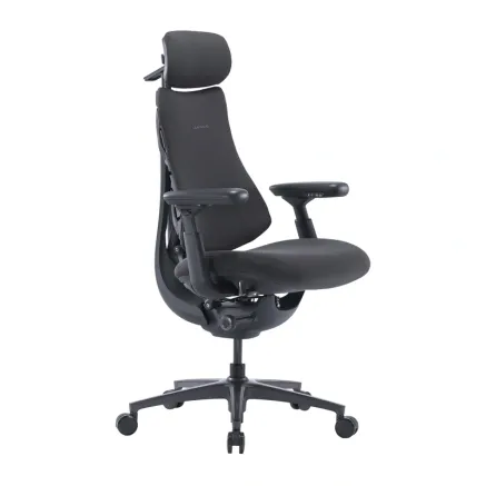 LiberNovo Omni Pro 45 cm Ergonomic Chair (Graphite)