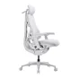 LiberNovo Omni Pro 48 cm ergonomisks krēsls ar elektrisko jostas atbalstu, regulējamu noliekumu un aktīvu ventilāciju