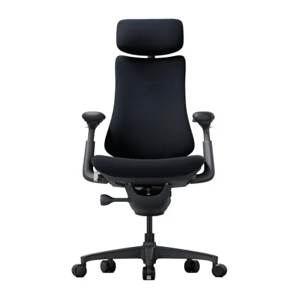 LiberNovo Omni 48 cm Ergonomic Chair (Black)