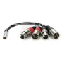 Atomos XLR Breakout Cable (in / out) (ATOMCAB016)