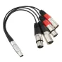 Atomos XLR Breakout Cable (in / out) (ATOMCAB016)