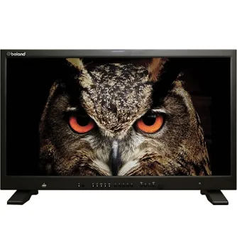 Boland 4K Pro HDR Monitor displaying a detailed close-up of an owl with vibrant orange eyes and intricate feather textures