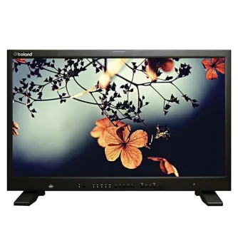 Boland 4K24-HDR monitors demonstrē dzīvīgu 4K HDR attēlu ar rudens lapām un zariem