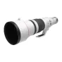 Canon RF 600mm F4 L IS USM