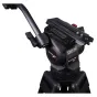 Close-up of Cartoni FOCUS 8 tripod head with red lock mechanism, attached to a 2-stage aluminum tripod. Features include 'FOCUS 8' logo, 'CARTONI' branding, adjustable knobs, and a red locking button. Rubber feet and soft carryi