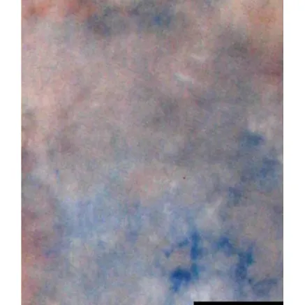 <br /> <b>Notice</b>: Trying to get property of non-object in <b>/var/www/vhosts/masterfoto.lv/httpdocs/tools/smarty/sysplugins/smarty_internal_templatebase.php(157) : eval()'d code</b> on line <b>201</b><br /> 