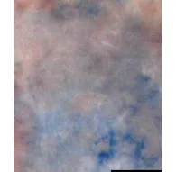 Backgrounds - Falcon Eyes Background Cloth S122 2,9x7 m - quick order from manufacturerBackgrounds - Falcon Eyes Background Cloth S122 2,9x7 m - quick order from manufacturer