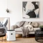BONECO Humidifier Air Washer W220 white unit with green indicator light placed on a woven rug in a bright living room beside a beige sofa with a dog resting on it