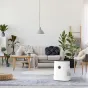 BONECO H320 Hybrid Humidifier & Air Purifier in a modern living room with natural light and greenery