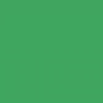 Vairs neražo - Linkstar Background Roll 46 Chroma Green 1,38x11 m