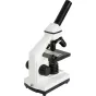 Labs CL-CM800