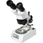 Celestron Labs S10-60 stāro mikroskops ar divām 10x lēnām, 1x un 3x objektīviem, metāla korpusu un LED apgaismojumu, ar caurspīdīgu laukumu, kurā atrodas insekta paraugs.