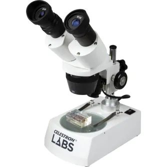 Celestron Labs S10-60 stereo microscope with dual 10x eyepieces, 1x and 3x objectives, metal body and LED illumination, featuring a transparent stage holding an insect specimen.