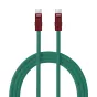 Newell USB-C - USB-C 100 W cable, 2 m, Silicone, Green-Maroon