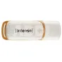 Intenso Green Line 128GB USB Stick 3.2 Gen 1