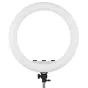 MITOYA MTY-21C 53 cm divkrāsu LED gredzenu lampa uz statīva, priekšējais skats ar baltu difuzora gredzenu, aizmugurējo paneli ar trim melniem regulēšanas pogām un bumbu galvas stiprinājumu.