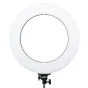 LED ring lamp MITOYA RL-480 45cm Bi-color