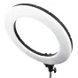 LED ring lamp MITOYA RL-480 45cm Bi-color