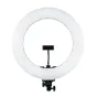 MITOYA RL-480L 45 cm bi-color LED ring light with integrated flexible phone holder, smooth white diffuser, black mounting bracket, and standard tripod base