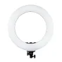 Front view of the MITOYA RL-480L 45 cm white LED ring light with black mounting bracket, bi-color adjustable 3000-6000 K, 60 W, 480 LEDs, ideal for photography and video.