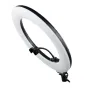 MITOYA RL-480L 45 cm bi-color LED ring light with white diffuser, black rim, flexible phone holder, and attached cable