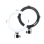 Divi MITOYA 20 cm USB baroti LED gredzenu gaismas, viens balts un viens melns ar Mitoyd zīmolu, katrs piestiprināts pie bumbiņas galvas statīva adaptera.