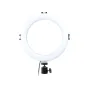 Kompakts 20 cm MITOYA YQ-8 USB‑pārdots mini LED gredzena gaisma ar baltu difuzoru, melna stiprinājuma kronšteins ar statīva ligzdu un USB kabeli, 80 SMD LED, 3 krāsas temperatūras un 10 spilgtuma līmeņi.