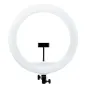 MITOYA MTY-18C WHITE 45 cm divkrāsu LED gredzenu lampa ar 240 LED, 50 W, 90+ CRI, gludu jaudas un krāsas temperatūras regulāciju, ar iebūvētu elastīgu telefona turētāju un melnu montāžas pamatu ar regulēšanas pogām.