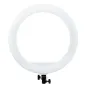 MITOYA MTY-18C baltā 45 cm bi‑krāsu LED gredzenveida lampa ar 240 LED, 50 W, 90+ CRI, melnu montāžas kronšteinu un tālruņa turētāju