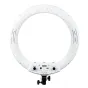 MITOYA MTY-18C WHITE 45 cm LED ring light with control panel, power switch, color temperature knob, USB charging port, and 26 V power input, shown front view against a white background