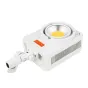 LED lamp MITOYA ORCA 230 Bi-color [Bowens]