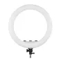 LED Ring Lamp MITOYA MTY-18C 45cm Bi-color
