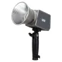 Newell Zora 60 RGB LED Light