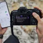 Canon EOS R8 Mark II BODY 24.2MP FF IBIS