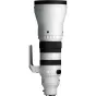 Sigma 300-600mm F4 SPORTS DG OS L-Mount Panasonic