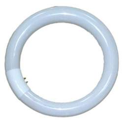 Replacement Lamps - Falcon Eyes Ring Lamp 28W for RFL-2/RFL-3 - buy today in store and with delivery