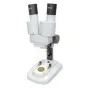 Mikroskopi - Byomic Beginners Stereo Microscope 20x - ātri pasūtīt no ražotāja