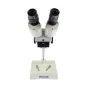 Microscopes - Byomic Stereo Microscope BYO-ST2 - quick order from manufacturer