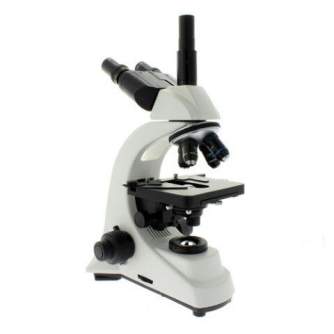 Microscopes - Byomic Study Microscope BYO-500T - quick order from manufacturer