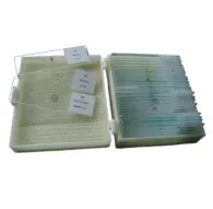 Microscopes - Byomic Case for 25 Preparates - quick order from manufacturerMicroscopes - Byomic Case for 25 Preparates - quick order from manufacturer